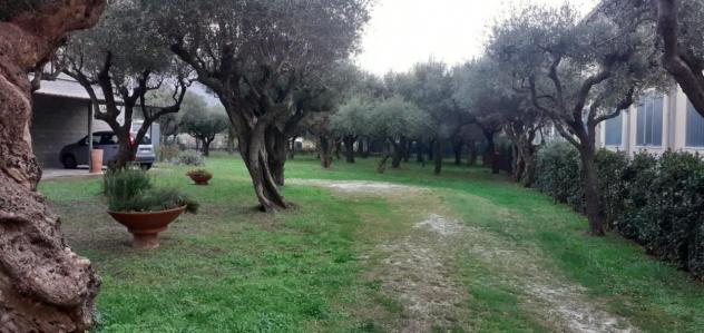 Pentalocale in vendita a Massa - Foto 11