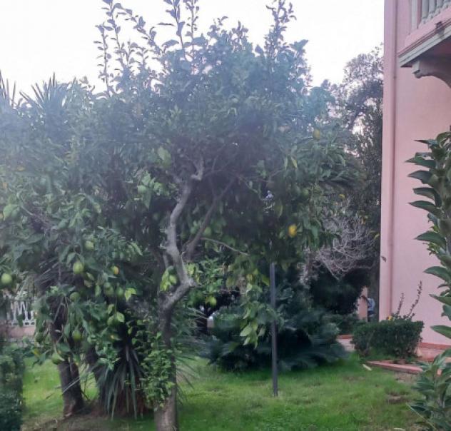 Immobile in asta di 384 m² con più di 5 locali in vendita a Viareggio - Foto 13