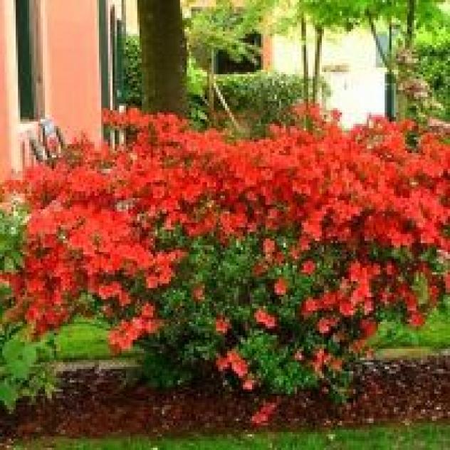 Al Giardino Bed And Breakfast - Foto 4