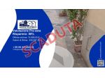 Immobile in asta di 530 m² con più di 5 locali in vendita a Pisa