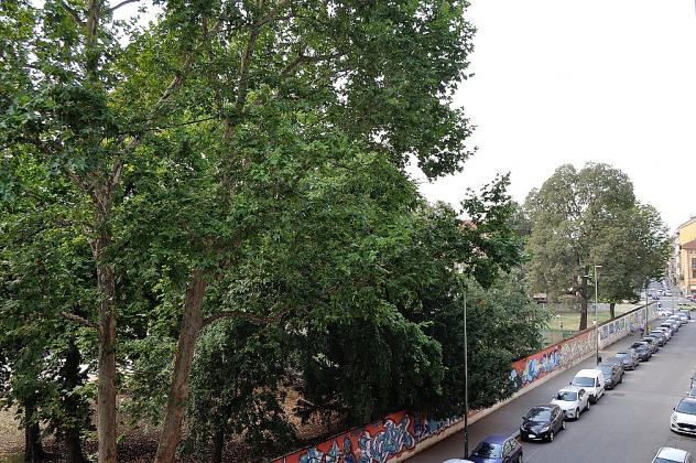 Bilocale in affitto a Torino - Foto 11