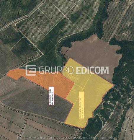 Terreno in vendita a Pisticci - Rif. 4549508 - Foto 6