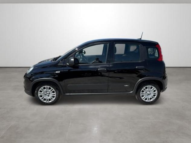 FIAT Panda 1.0 FireFly S&S Hybrid rif. 23891750 - Foto 7