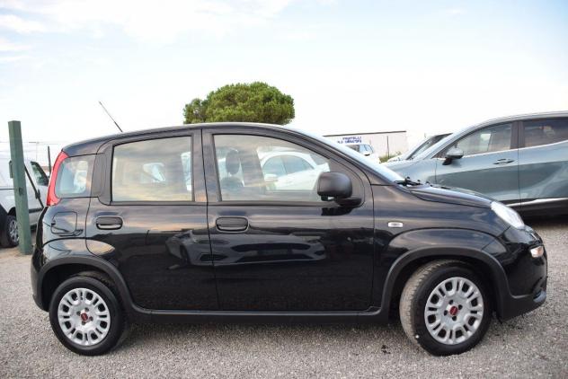 FIAT Panda 1.0 FireFly Hybrid (BENZINA/ELETTRICA) CLIMA - BLUETOOTH - OK NEOPATENTATI - IVA DETRAIBILE - Foto 10