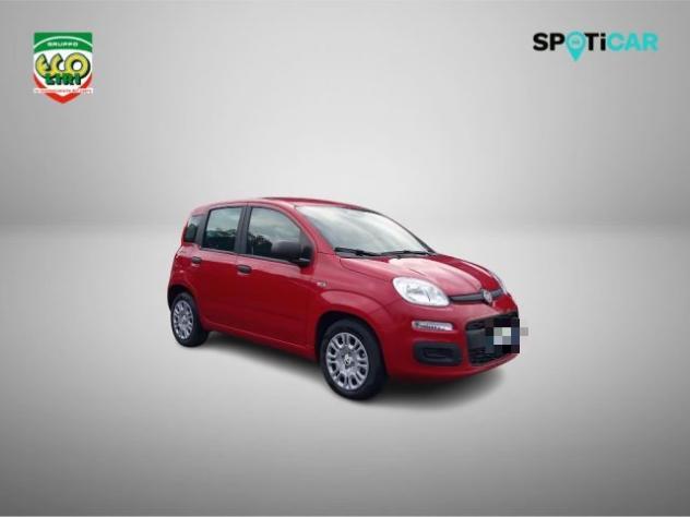 FIAT Panda 1.0 FireFly S&S Hybrid+GPL rif. 24175533 - Foto 3