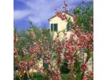 Bed & Breakfast I Ciliegi