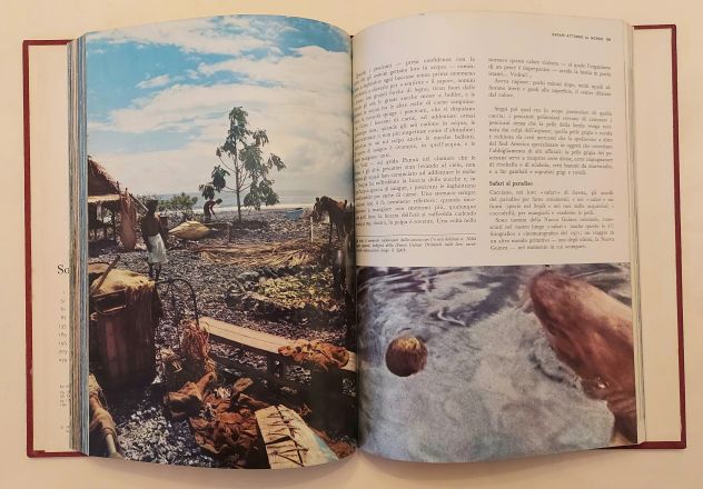 Safari attorno al mondo di Folco Quilici 1°Ed:De Agostini Novara, 1973  perfetto - Foto 4
