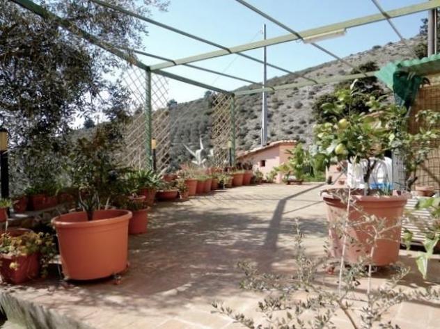 Rustico in vendita a San Giuliano Terme 130 mq Rif: 1040033 - Foto 3