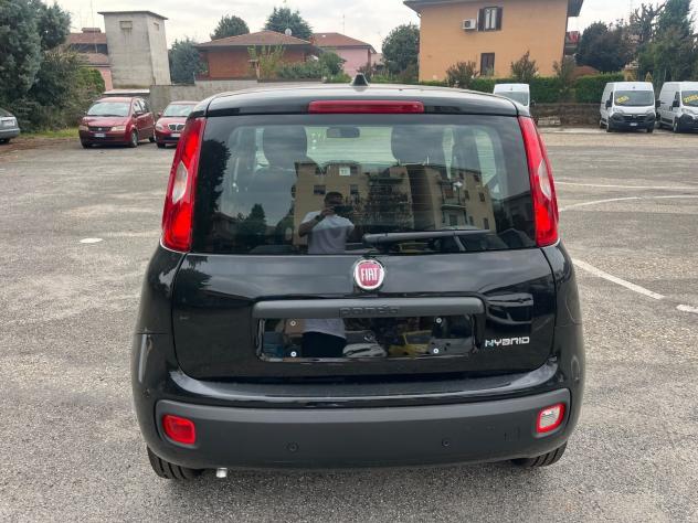 FIAT Panda Pandina 1.0 firefly hybrid Icon s&s 65cv - Foto 10