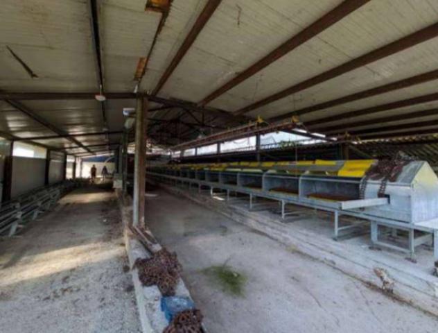 Immobile in asta di 9989 m² con più di 5 locali in vendita a Frascaro - Foto 8