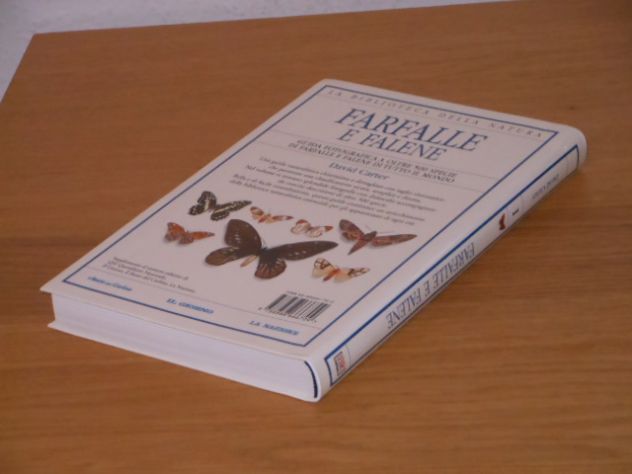 FARFALLE E FALENE, David Carter, LA BIBLIOTECA DELLA NATURA N. 1. - Foto 7