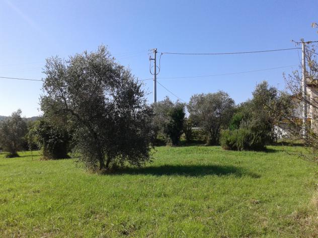 Terreno edificabile in vendita a Casciana Terme Lari - Foto 3