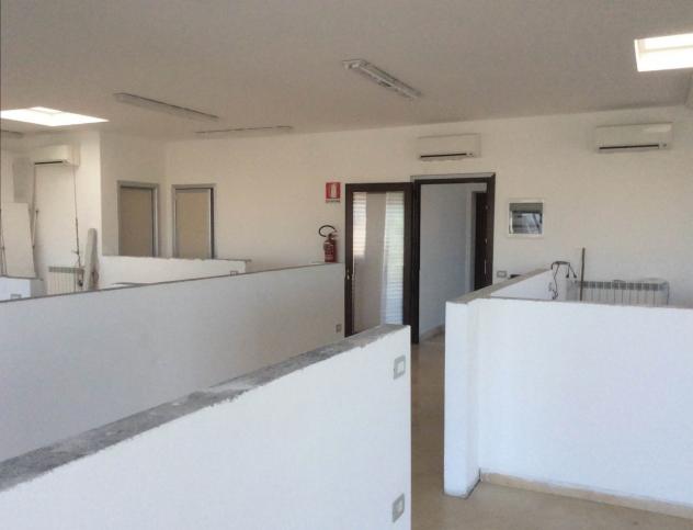 Artigianali in vendita a Orbetello - Foto 19