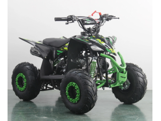 Quad NCX Furious Six Sport 125cc – Usato