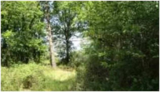 Immobile in asta di 36620 m² in vendita a Fucecchio - Foto 7