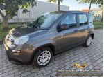 FIAT Panda 1.0 FireFly S&S Hybrid rif. 23767226