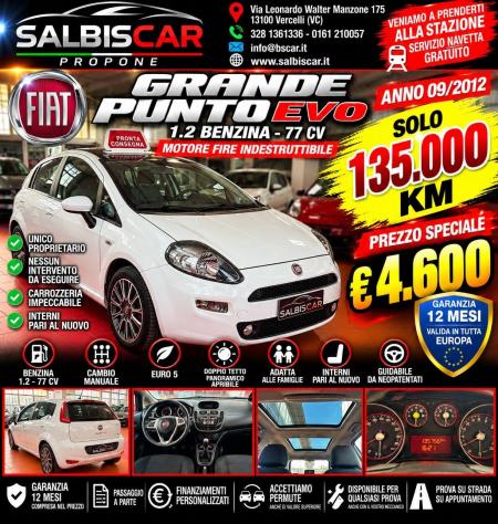 Fiat Punto Evo 1.2 5 porte S&S Dynamic