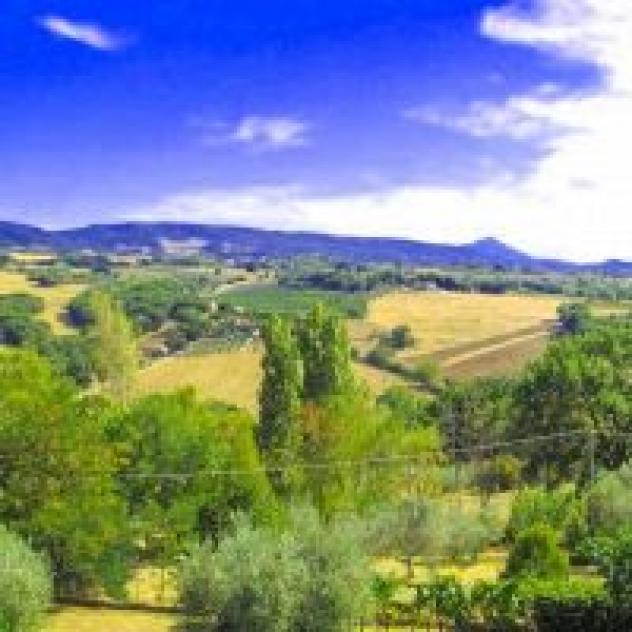 Poggio delle Rose S.r.l. - Foto 2