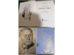 Le avventure di Pinocchio, ill. ATTILIO MUSSINO, GIUNTI Bemporad Marzocco 1967.