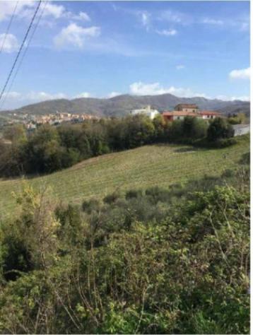 Immobile in asta di 22290 m² in vendita a Chianche - Foto 4