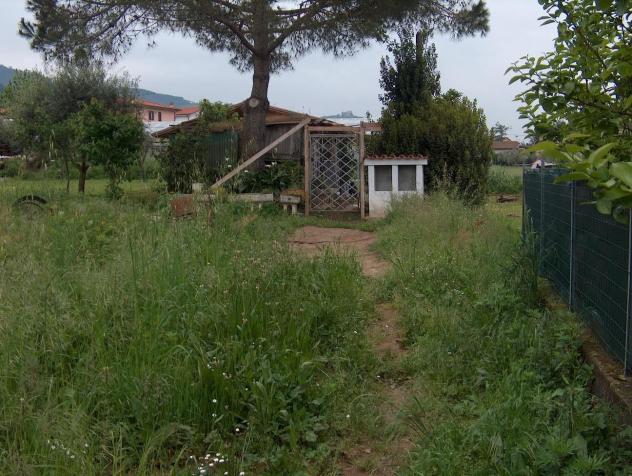 Terreno agricolo in vendita a Massa 1000 mq  Rif: 1355761
