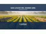 Immobile in asta di 105 m² in vendita a San Leucio del Sannio