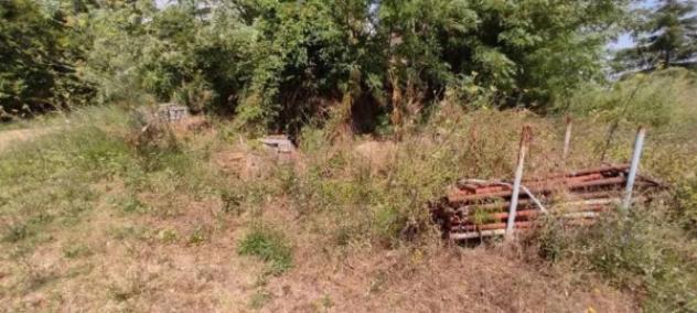 Immobile in asta di 76942 m² in vendita a Siena - Foto 3