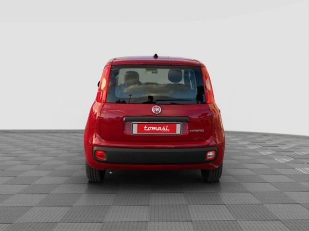 FIAT Pandina Pandina 1.0 FireFly 65 CV Hybrid Icon rif. 24122144 - Foto 8