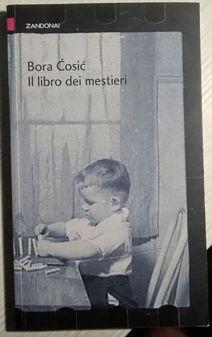 il libro dei mestieri   di Bora Cosic