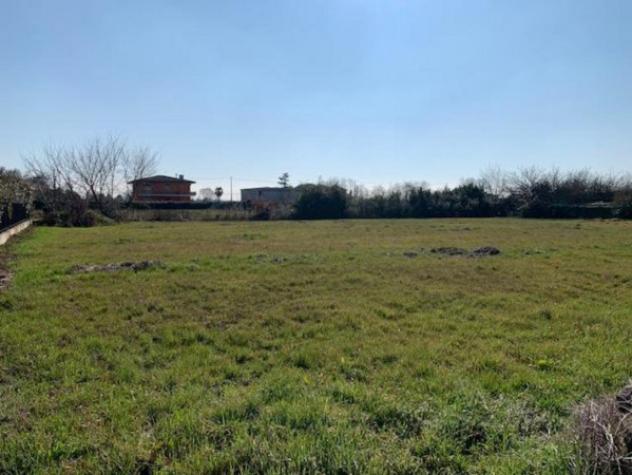 Immobile in asta di 2396 m² in vendita a Saonara - Foto 6