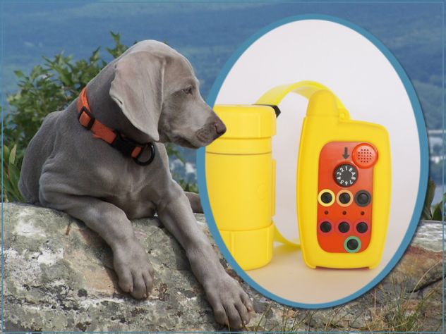 2023 COLLARE BEEPER PER CANI DA CACCIA REMOTO IMPERMEABILE - Foto 3