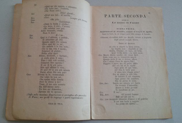 Saffo - Foto 7