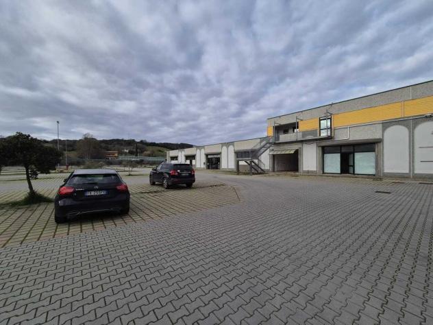 1 Vetrina in vendita a Campagnatico - Foto 9