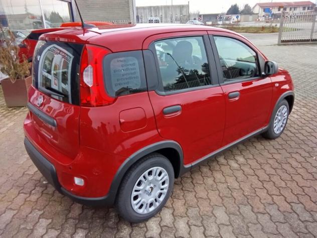 FIAT Panda 3ª serie Panda 1.0 FireFly S&S Hybrid Icon - Foto 3