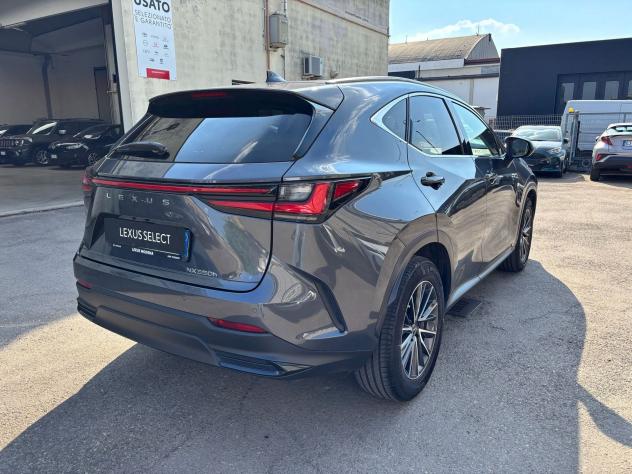 Lexus NX Hybrid Premium 4WD MY22 - Foto 7