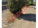 Immobile in asta di 93 m², box auto in vendita a Guidonia Montecelio