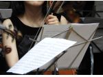 Violinista professionista nel settore wedding a Lumezzane