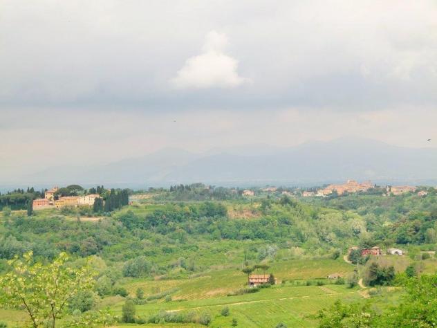 Terreno edif. residenziale in vendita a Casciana Terme Lari 5000 mq  Rif: 1011961