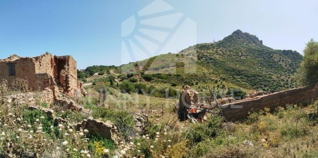 terreno con ruderi e uliveto- ideale per agriturismo o Resort nelle Madonie - Foto 8