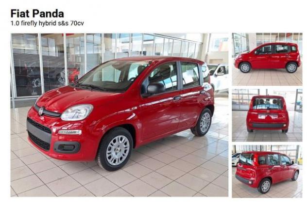 FIAT Panda 1.0 FireFly 70 CV Hybrid_VENDUTA rif. 23448491