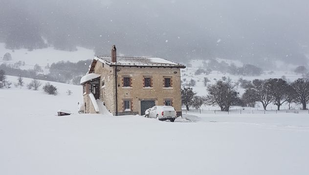 VENDO MASSERIA CON 14 HA TERRENO PESCOCOSTANZO ABRUZZO - Foto 5