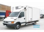 IVECO DAILY 50C13 CELLA  FRIGO