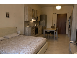 CORSO DUCA DEGLI ABRUZZI GRAZIOSO MONOLOCALE NUOVO