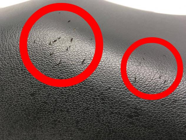 SUZUKI VX 800 SELLA SADDLE PICCOLI FORI SU FODERA 1990 1994 VS51A - Foto 2