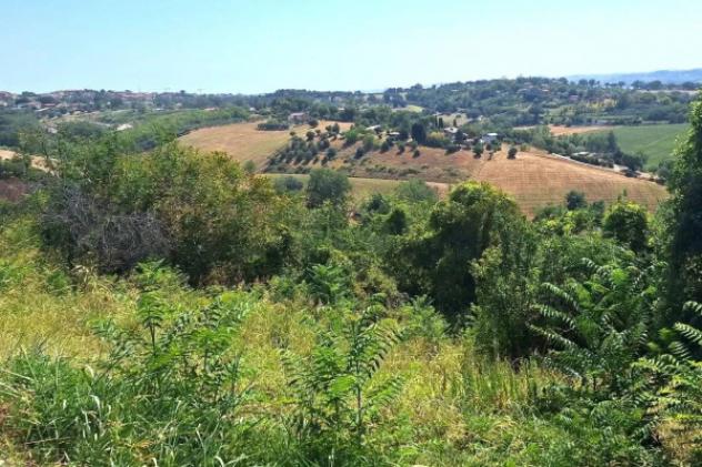Immobile in asta di 27173 m² in vendita a Macerata - Foto 5