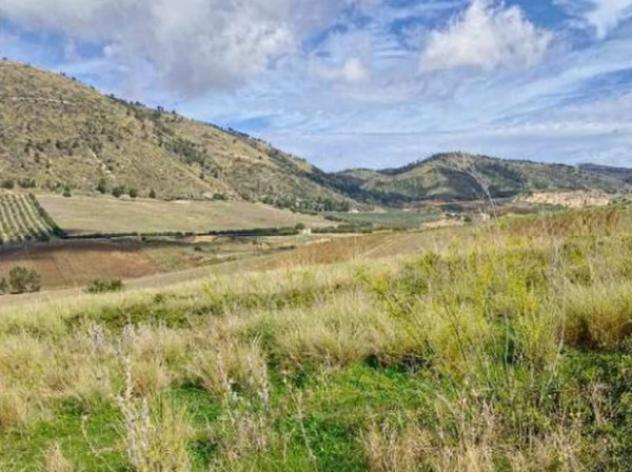 Immobile in asta di 155290 m² in vendita a Salemi - Foto 10