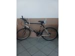 Bicicletta MTB Chesini Capriolo