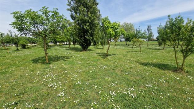 Terreno Agricolo - Rif. 2457 - Foto 7