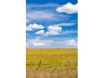 Terreno agricolo in vendita a Collesalvetti 6192 mq  Rif: 1398642