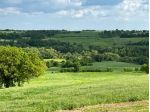Bellissimo terreno in vendita nelle campagne della Maremma, nel comune di M &hellip;